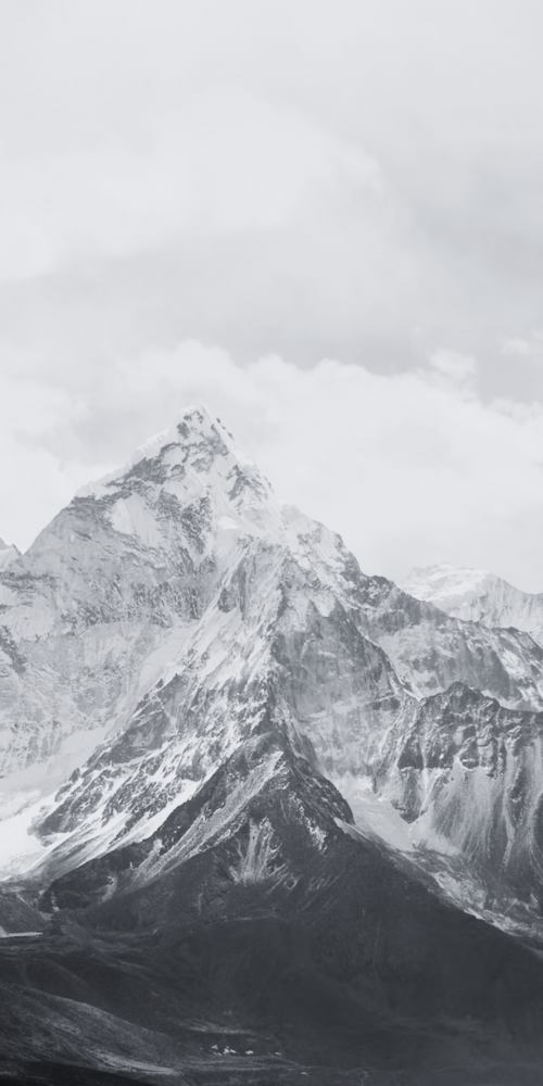 Führungskräfte werden nicht geboren.